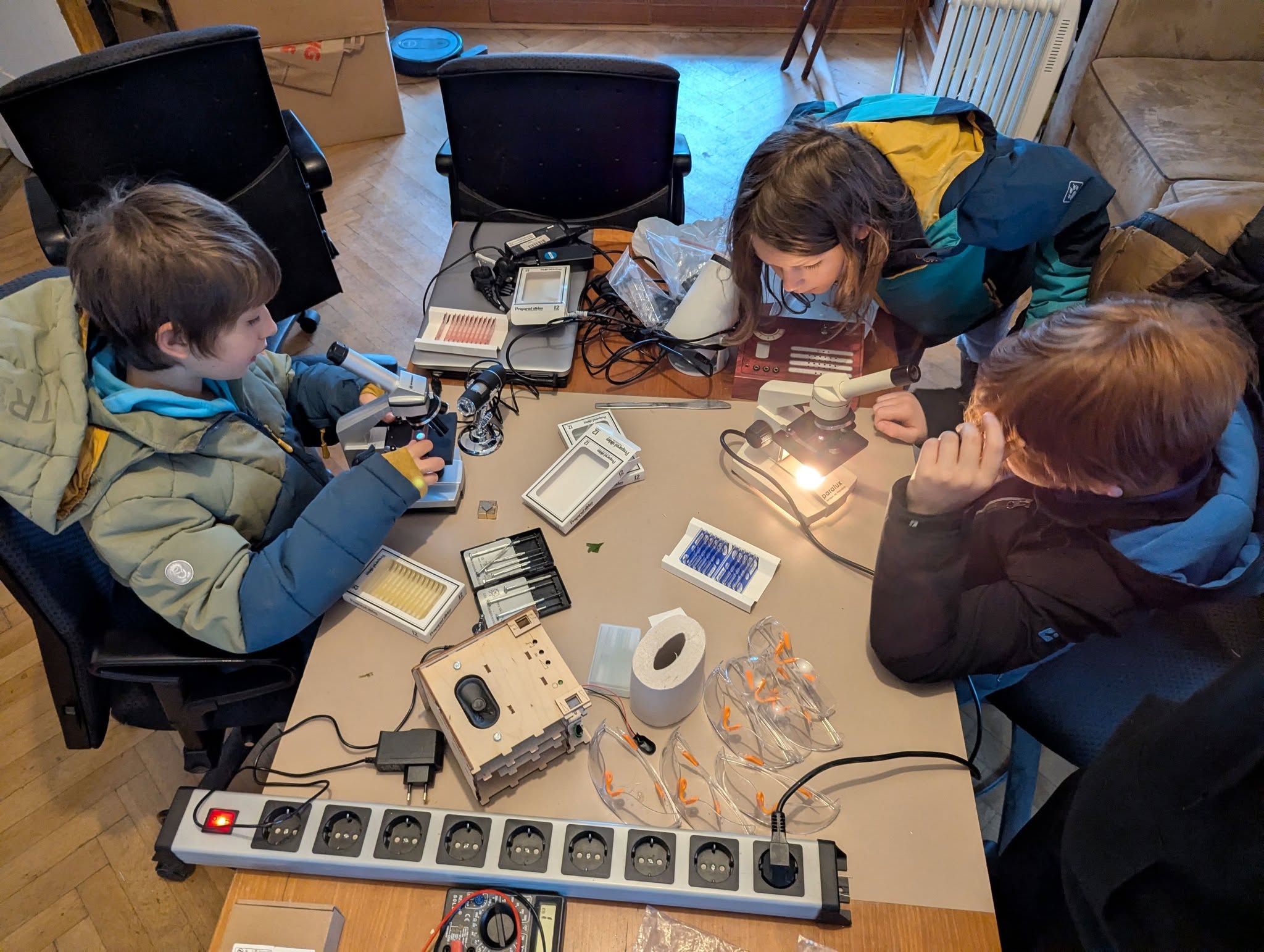 🔬✨ Mit Mikroskopie ins Universum der kleinen Dinge eintauchen ✨🔬