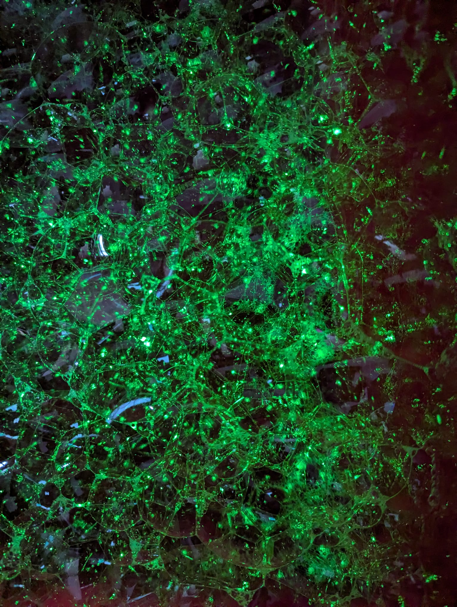 🔴✨ Seifenblasen & Laser – Licht zum Staunen ✨🔴